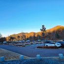 세종동_전월산 무궁화 테마공원 이미지