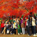 당구사랑 이미지