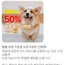 딩펫 펫살롱 고운점 네이버블로그