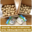 경기도, ‘친환경 농산물 온라인 기획전’ 마련