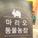 마리오농장 이미지