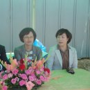 송학초교 이미지