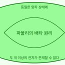 볼프강 이미지