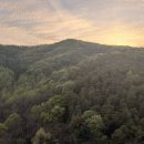 노래에 빠지다 | “지는 봄날의 정취에 푸욱 빠지다”: 모짜르트 피아노 협주곡 23번 K.488 2악장 아다지오를 새소리에...