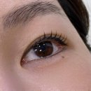 상무지구 속눈썹펌 라블스튜디오, 치평동 금호동 속눈썹펌 정착하게 만든 블랙통통케라틴펌 후기