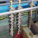 토박이식당 이미지