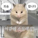 부원약국 이미지