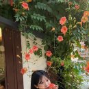 유키니언 19호 대구삼덕한옥점