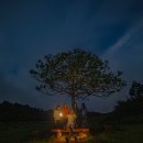 몽게스트하우스 이미지