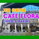 플로라 거창 이미지