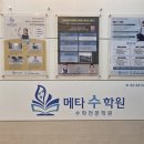 파인애플수학