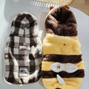 멍팔자 상팔자 이미지