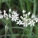 덕풍중학교 이미지