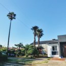 스테이 녹음 이미지