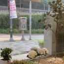 제일백반 이미지