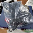 황제쑥뜸기 이미지