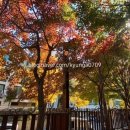 한마음점자 이미지