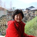 황룡산장 이미지