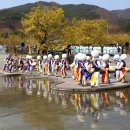 [축제안내] 샛노란 봄 풍경을 만나다, 전남 구례산수유꽃축제 이미지