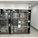 대형동물병원 이미지