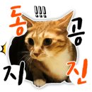 수제간식맛집 이미지