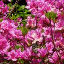 해오름길 이미지