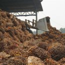 임영석농장 이미지