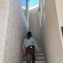 파파브런치 | 삼척 맛집 수제햄버거와 피자를 즐길 수 있는 쏠비치근처맛집 브런치카페 '매드파파(MAD PAPA)' 즐기기