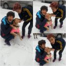 성학이네 뉴스엔