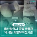 약사동 제방유적 | 울산광역시 공립 박물관 : 약사동 제방유적전시관