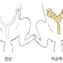 형제동물병원 이미지