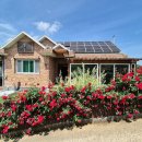 스카이태양공인중개사사무소 이미지