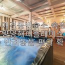 속초 애견펜션 양양 해피 플레이스 네이버블로그