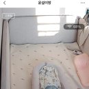 곰 PC | [내돈내산] 고민하다가 주문한 허그곰 옆잠베개 사용 후기 (듀라돈 커버 추가, 통잠, 솜빼기)