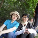 박거겸 장군 묘 이미지