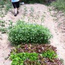 재용농장 이미지