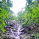 제649차 경북 울진 백암산 100대명산 신선계곡 트레킹(26. 8. 18)안내 이미지