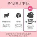 피부미인플러스