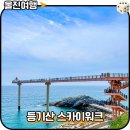 남울진농업협동조합 후포지점 | 동해안 7번국도 울진여행 가볼만한곳 등기산 스카이워크
