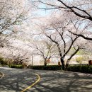 안민고개길 이미지