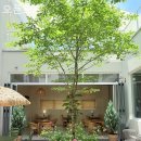 장량동 햇살 이미지