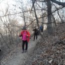 원적산길 이미지