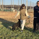 김포애견클럽 이미지