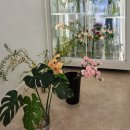 다육꽃세상 | 건양대 근처 관저동 꽃집 모두의꽃 크리스마스 리스 원데이클래스 후기