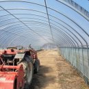 광시면010 이미지