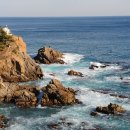 바다회직판장 이미지