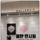 동탄가볼만한곳 롯데백화점 갤러리티 Blossom 꽃 전시 아이들과 방문 후기
