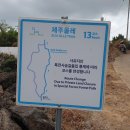 제주 올레길 13코스 이미지