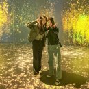 한국스토리뮤지엄 | 3월 제주도 가볼만한곳 제주 관광지 아르떼뮤지엄 달토끼 특별전