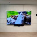 CU 경주황성중앙점 | 경주벽걸이TV설치 힐스테이트황성 정품브라켓 호환 가능